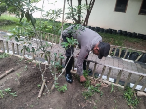 Polsek Sekupang Aktif Dukung Program Asta Cita Presiden Lewat Program Ketahanan Pangan