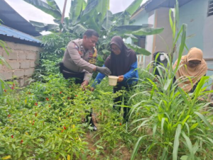 Kapolsek Lubuk Baja : Bhabinkamtibmas Dukung Ketahanan Pangan, Panen Sayur Di Kampung Pelita Wujud Asta Cita Presiden RI