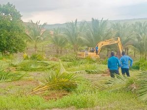 BP Batam Tegaskan Penertiban Lahan di Tanjung Banon Sesuai Prosedur Hukum