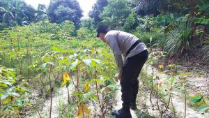 Dukung Program Asta Cita Presiden RI , Polsek Belakang Padang Laksanakan Kegiatan Ketahanan Pangan