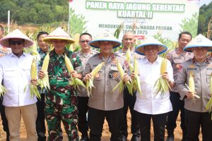 Kapolda Kepri Tegaskan Komitmen Dukung Ketahanan Pangan pada Panen Raya Jagung Kuartal II 2025