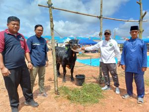 Idul Adha Penuh Makna, MEG dan AGP Gelar Kurban di Lima Titik Strategis