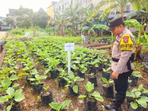 Dukung Ketahanan Pangan, Bhabinkamtibmas Taman Baloi Dampingi KWT Srikandi di Lahan Produktif