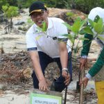 Ketua DPRD Batam Kamaluddin Dukung Aksi Penanaman Mangrove Bersama LSM Mapan di Nongsa