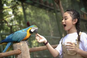 Nikmati Libur Sekolah Seru di Alam Terbuka Panbil Nature Reserve, Ada Promo Spesial Juli 2025!