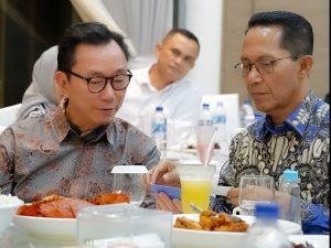 BP Batam Sambut Rencana Investasi Vingroup, Raksasa Vietnam Siap Tanam Modal di Kota Batam